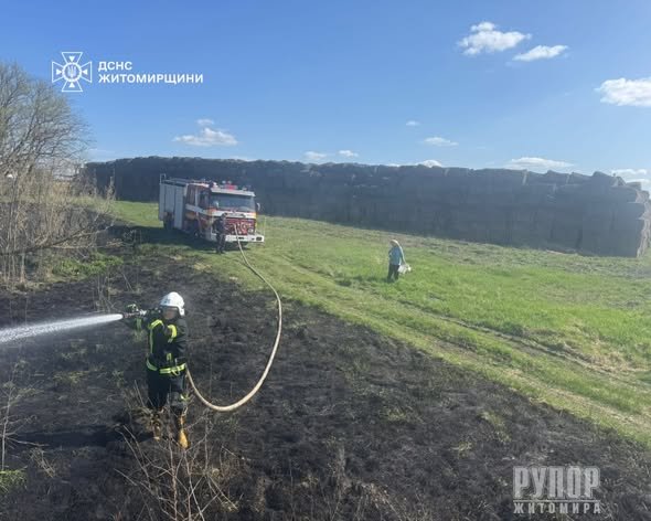 �� ������ ���� ������������ ����������� ������ ���� �������� �� ��������  �������� � �����������