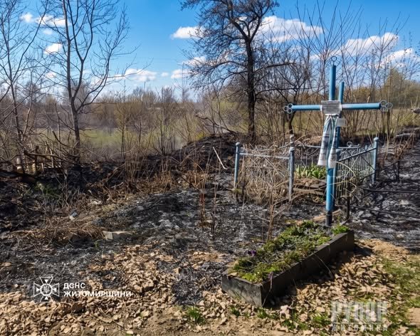 �� ������ ���� ������������ ����������� ������ ���� �������� �� ��������  �������� � �����������