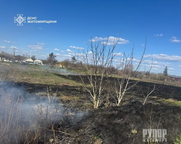 �� ������ ���� ������������ ����������� ������ ���� �������� �� ��������  �������� � �����������