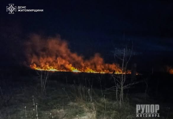 �������� ���� ������������ ����������� ��������� 14 �������� ���� ����������