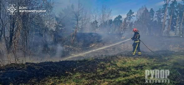 �������� ���� ������������ ����������� ��������� 14 �������� ���� ����������