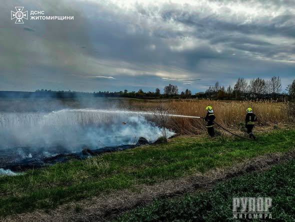 �������� ���� ������������ ����������� ��������� 14 �������� ���� ����������