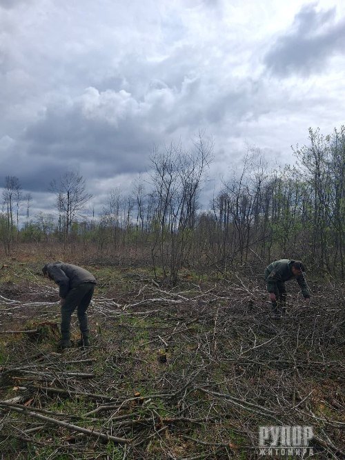 ����� 10 ��� ��� �����: �� ����������� ����������� ������ ��������� ������� 955 �����