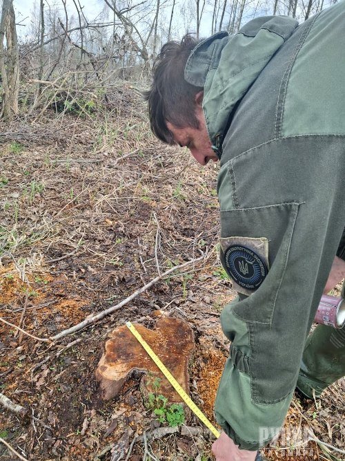 ����� 10 ��� ��� �����: �� ����������� ����������� ������ ��������� ������� 955 �����