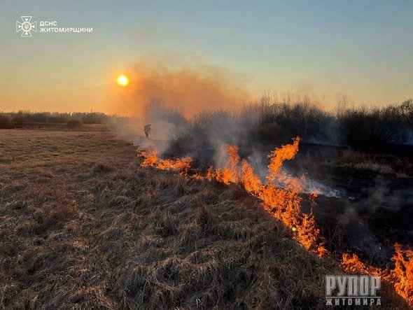 �������� ������ ���� �������� ���� ����������� ��������� 6 �������� ���� ����������