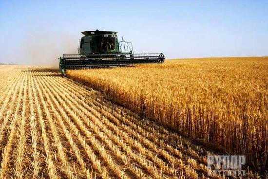 �������� �������� ������ �����������: �������, ������ �� ��� ��������� ��� �������� ������