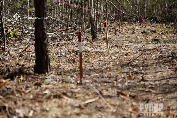 �� ����������� �������� ������ � ������������� �����������