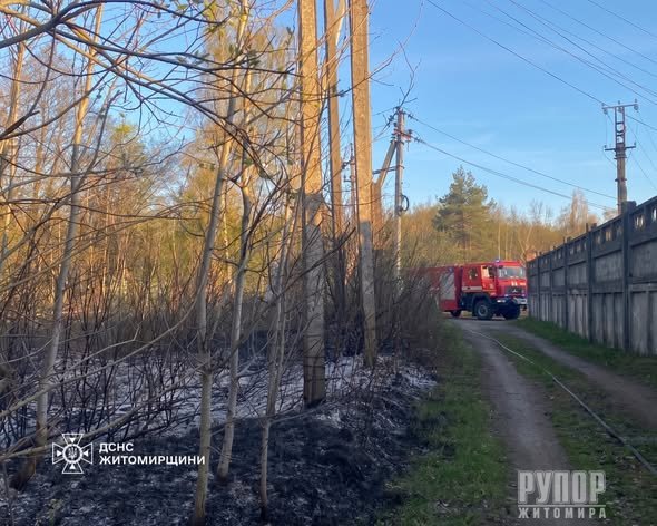 �� ������ ���� �� ����������� ������� 13 �����