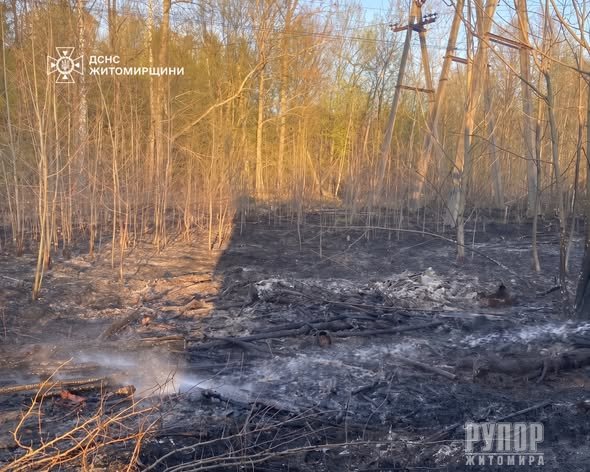 �� ������ ���� �� ����������� ������� 13 �����