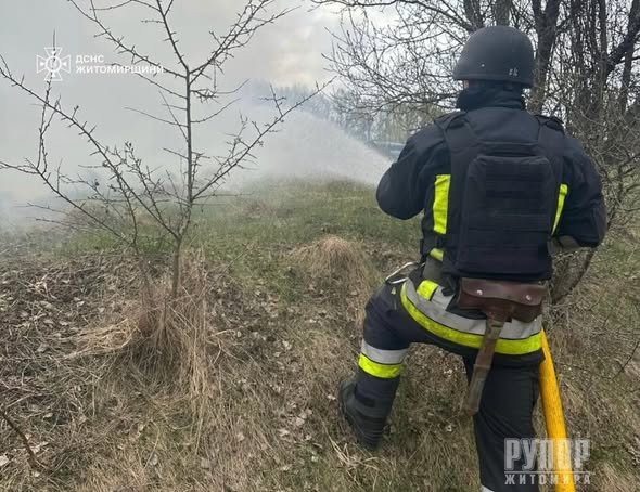 �� ����������� ������������ �������� �� ���� �������� �����