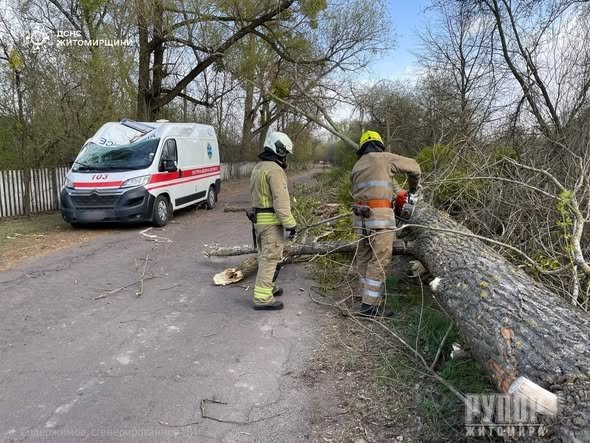 �� ������������ ������������ ���������� ������� ������