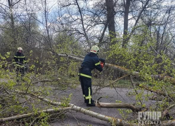 �� ������������ ������������ ���������� ������� ������