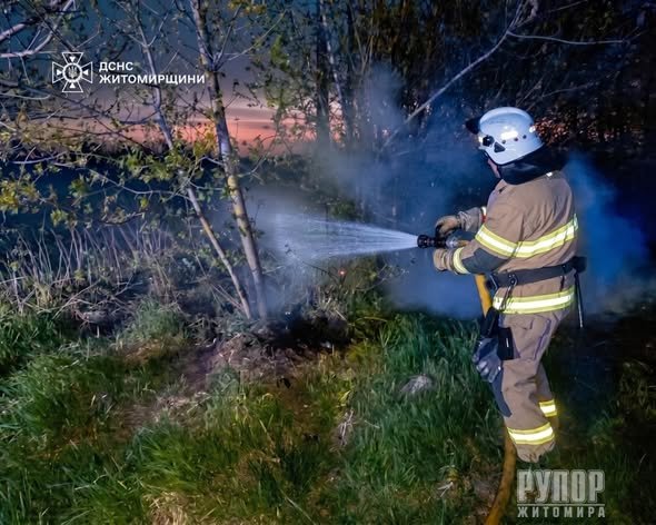 �������� �������� ���� �� ����������� ����������� 12 ����� ���� ����������