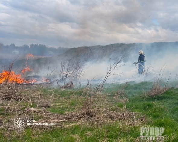 �������� �������� ���� �� ����������� ����������� 12 ����� ���� ����������