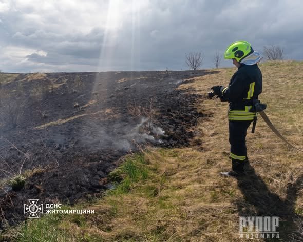 �������� �������� ���� �� ����������� ����������� 12 ����� ���� ����������