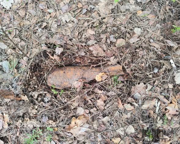 �� ����������� ���������� ���� ������� ���������������� ������� ����