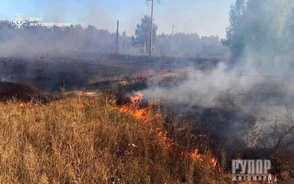 �� ������� ���� ������������ ��������� 4 �������� �� �������� ���������