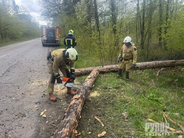 �� ����������� ������������ �������� ������� ������