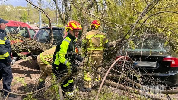 �� ����������� ������������ �������� ������� ������