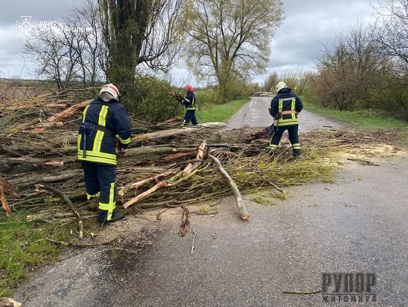 �� ����������� ������������ �������� ������� ������