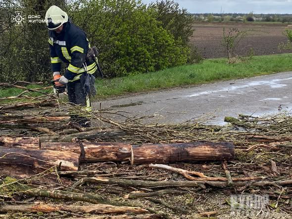 �� ����������� ������������ �������� ������� ������