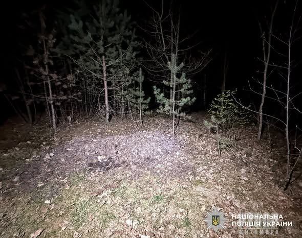 ��������� ���������� �������� �� ���������� ���� �� �����������: ����������� �� ������