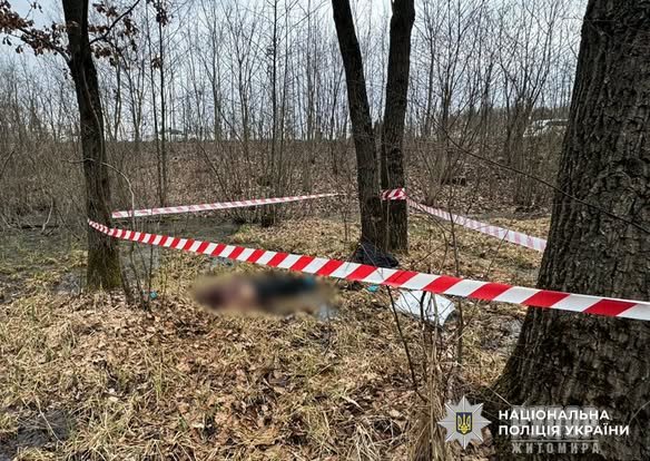 �������� ����� �� ��������: ����� ������ ��������� ���� ������� ����������� ��� ������ � �������� �������� ������ ��������