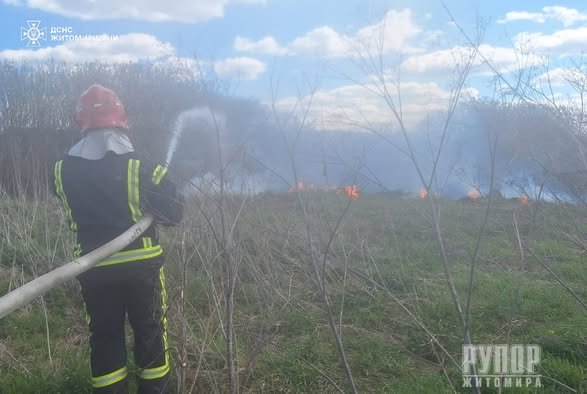 �� ����������� �������� ������ ���� ��������� ����� �������� ���� ����������