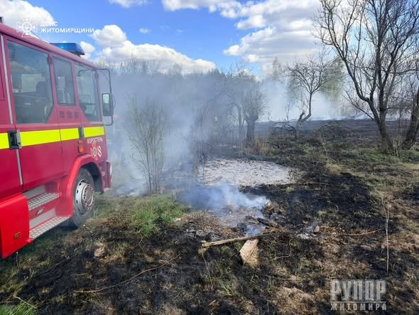 �� ����������� �������� ������ ���� ��������� ����� �������� ���� ����������