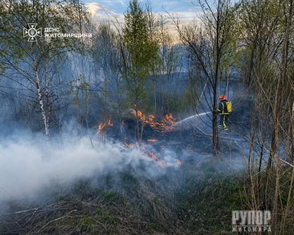 �� ����������� ������������ �� ���� ��������� 7 ����� � ����� ����