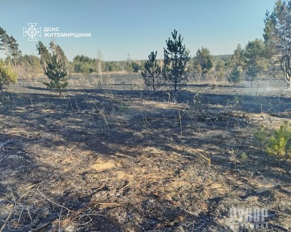 �� ����������� ������������ �� ���� ��������� 7 ����� � ����� ����