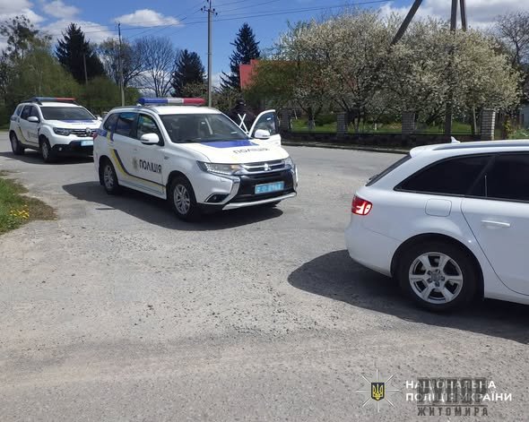 � ������ ���������� ���� ��������� �������� �����������: ��������� �������� ������������