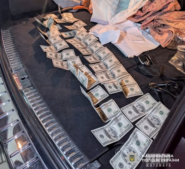 ����������� �� 3 000 ������: �� ����������� ����� ������ ��������� ������������ �������� ������������