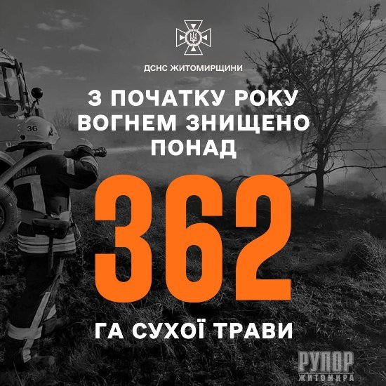 ³� ������� ���� �� ����������� ��� ������� 516 �������� ���� ����������