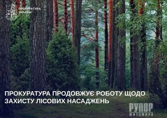 ����������� �������� ������ ���� ������� ������ ��������� �� �����������