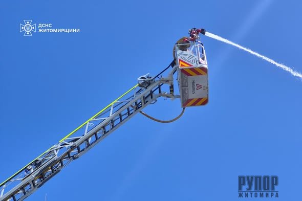 �� ����������� �������� ��������� ������� ����������� ������
