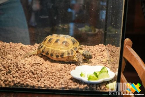 ����� ��� ���������: � ������� ���������� �STEM ������� � ������� �� ���� �����