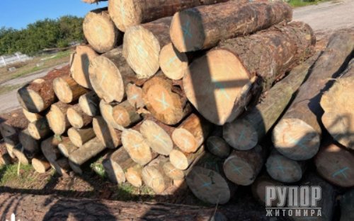 ˳� �� �������� ���������� � �� ����������� ���������� ����� ���������� ������� �� ���������