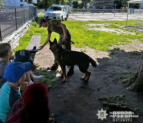 ������� ������������ ����� ����: � ���������� �������� ���������� ������ ������������ �������������� �� ��������