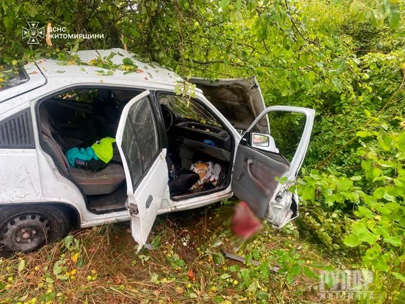 � ������������� ������ ������������ ���������� �� �������� ������� ��������-����������� �������